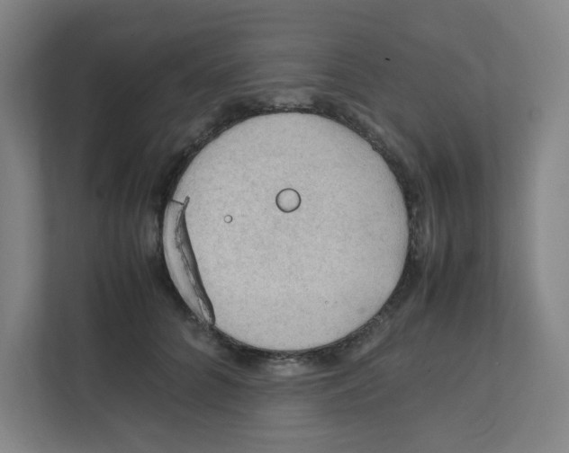 X0000111860704200908201258