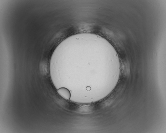 X0000111860705200908201257