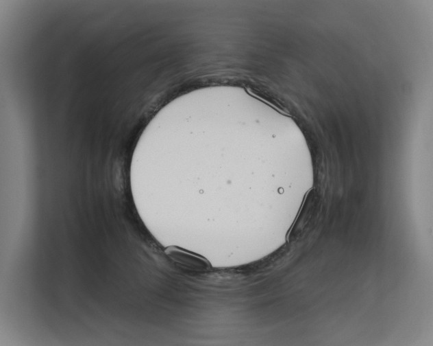 X0000111860708200908201257