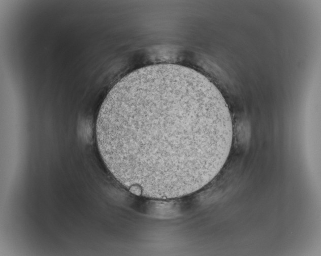 X0000111860709200908201257