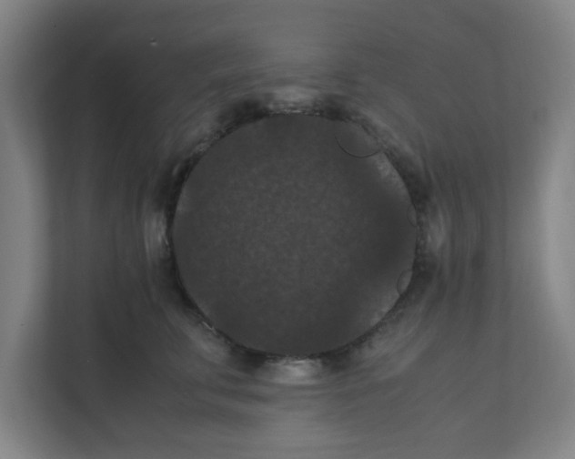 X0000111860711200908201257