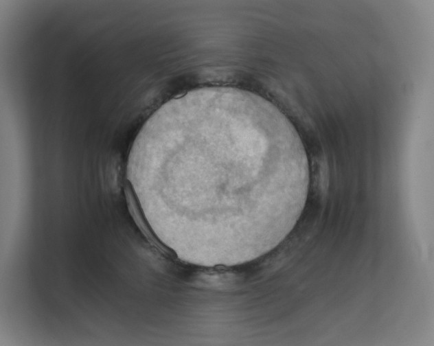 X0000111860712200908201257