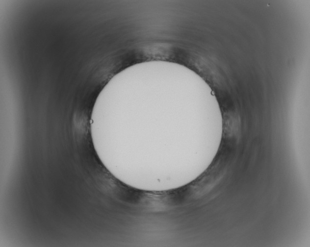 X0000111860713200908201257