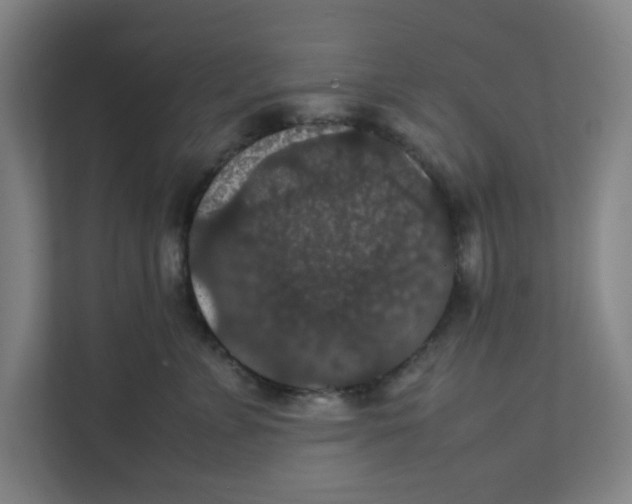 X0000111860715200908201257