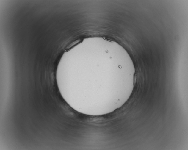 X0000111860716200908201257