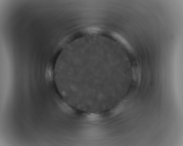 X0000111860718200908201257