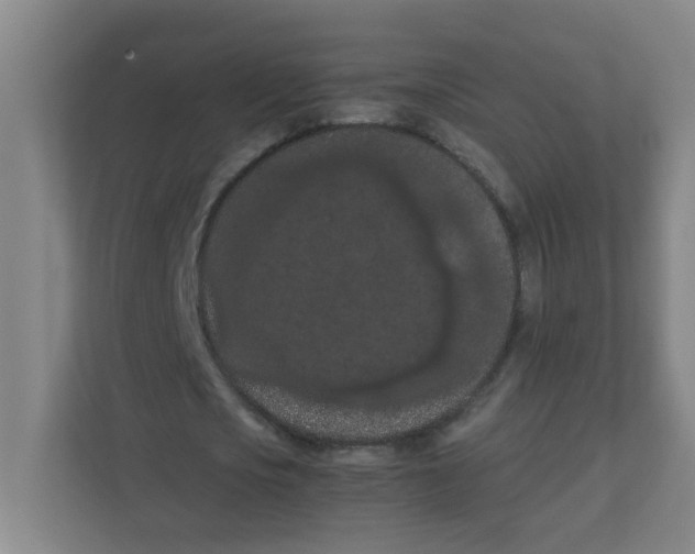 X0000111860721200908201257