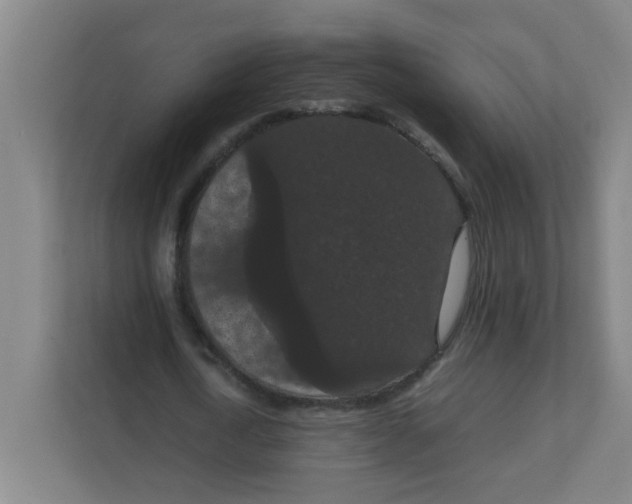 X0000111860722200908201257