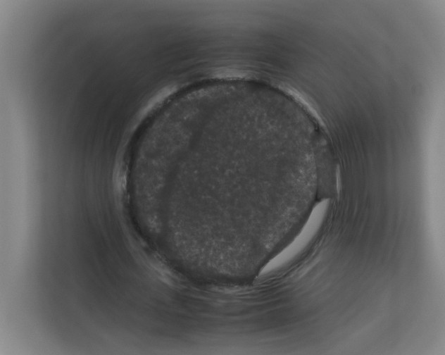X0000111860723200908201257