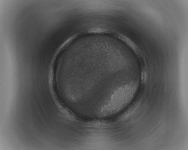 X0000111860724200908201257