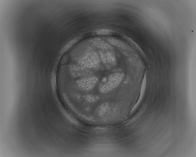X0000111860725200908201257