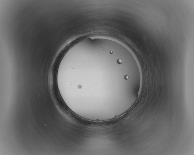 X0000111860726200908201257