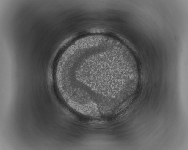 X0000111860727200908201257