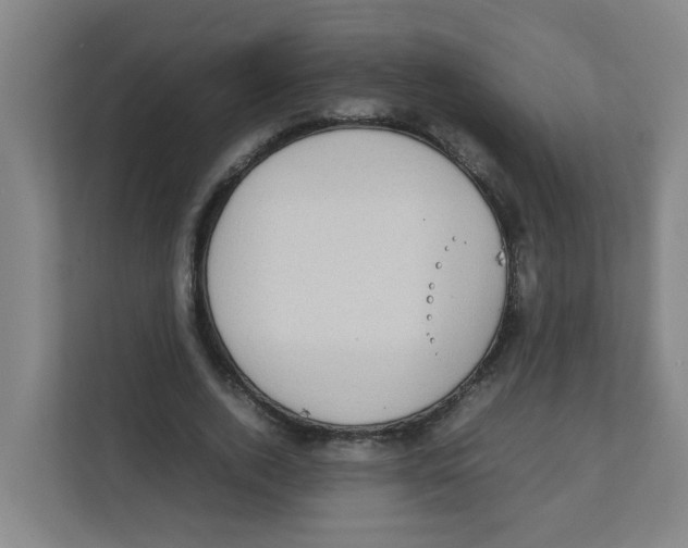 X0000111860728200908201257