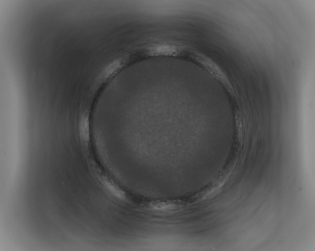 X0000111860729200908201257