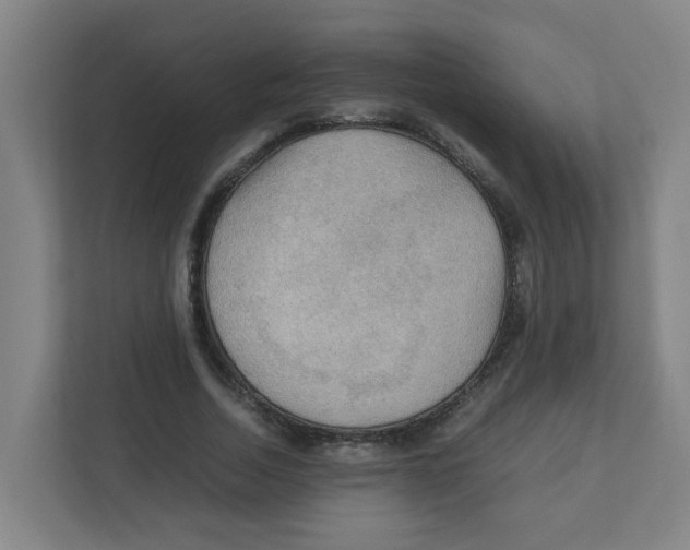 X0000111860730200908201257