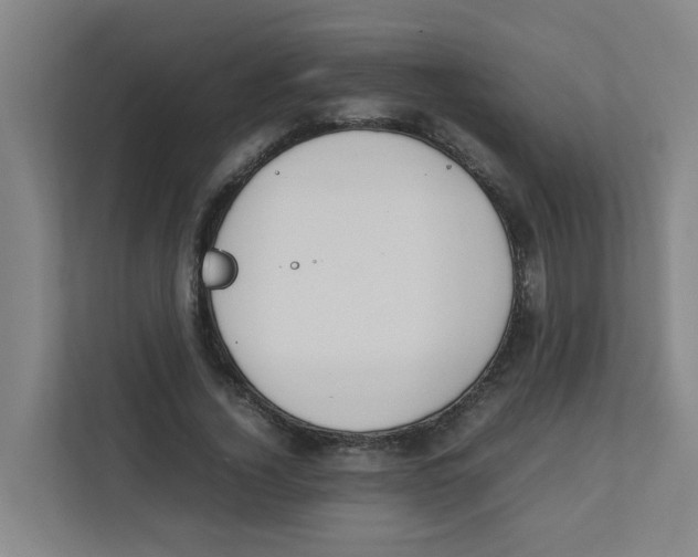 X0000111860732200908201257