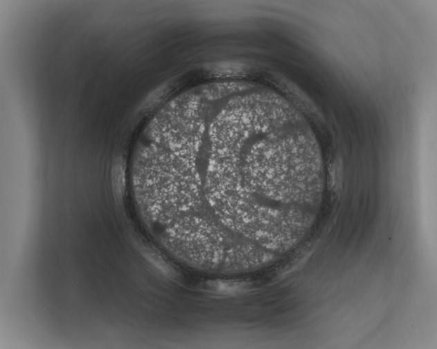 X0000111860733200908201257