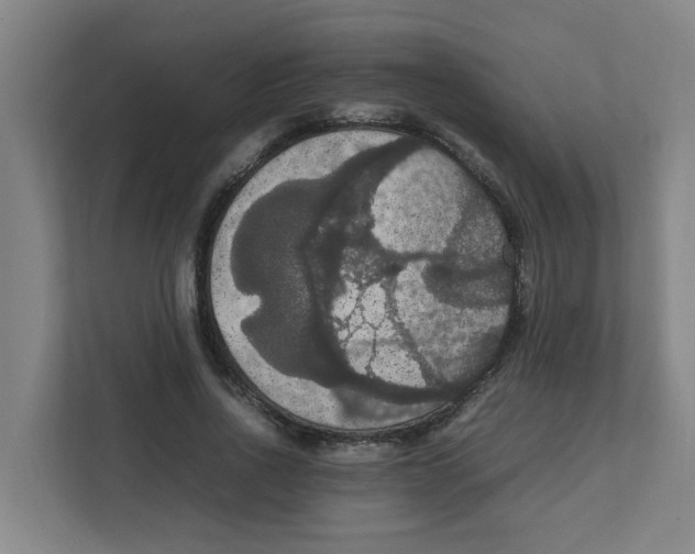 X0000111860734200908201257