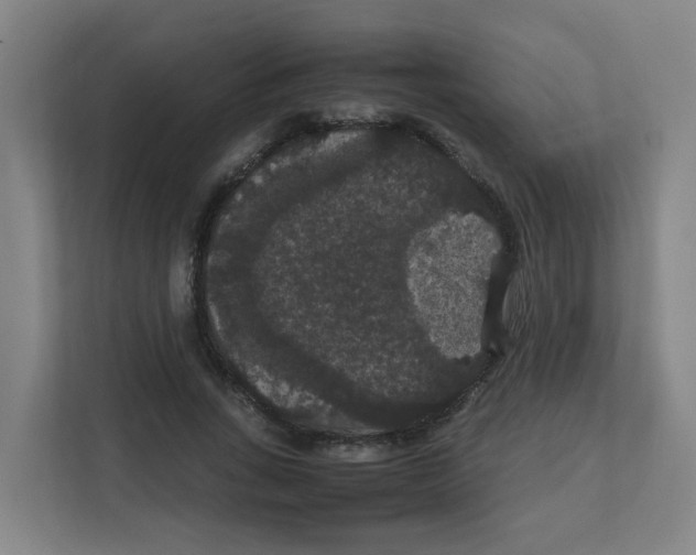 X0000111860735200908201257
