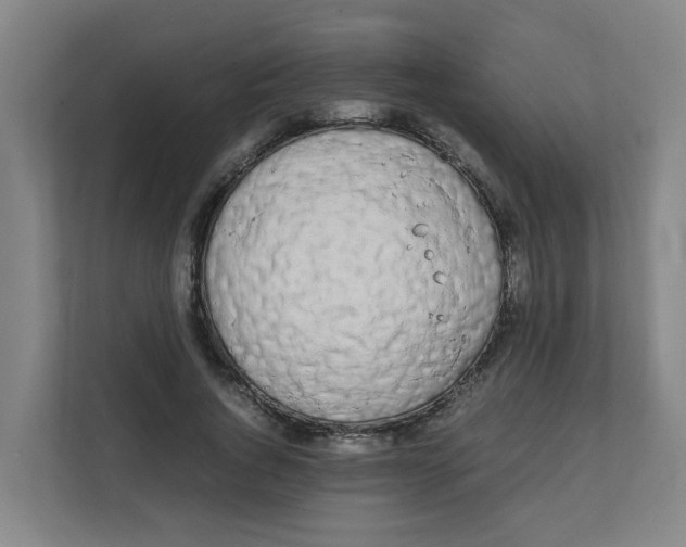 X0000111860736200908201257