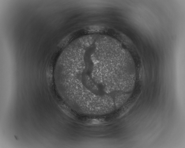 X0000111860737200908201257