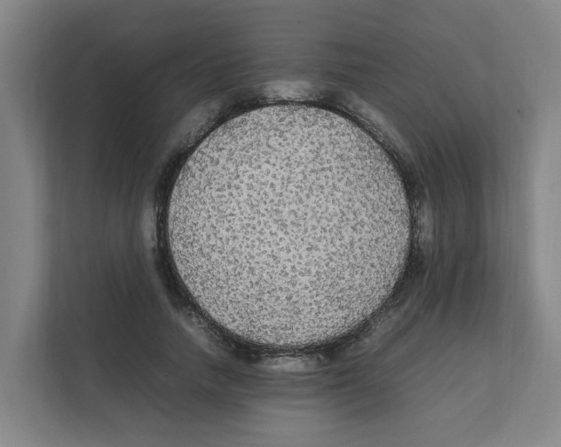 X0000111860738200908201257