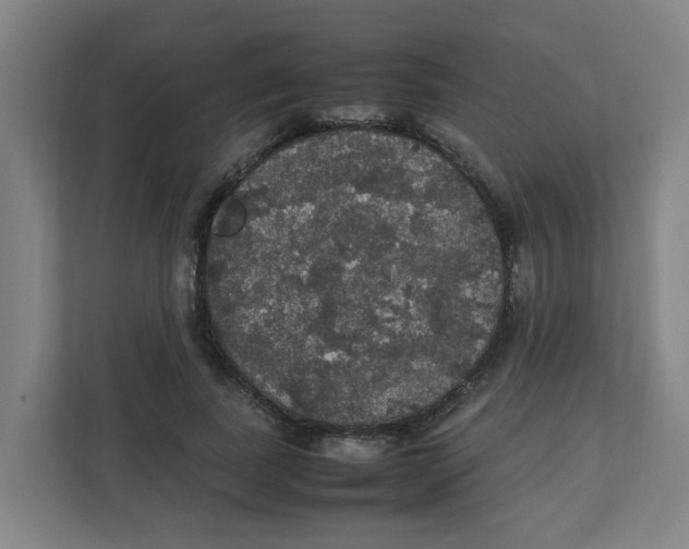 X0000111860739200908201257