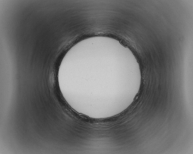 X0000111860740200908201257