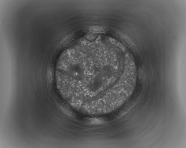 X0000111860741200908201257