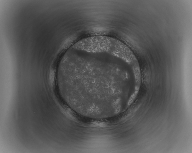 X0000111860742200908201257
