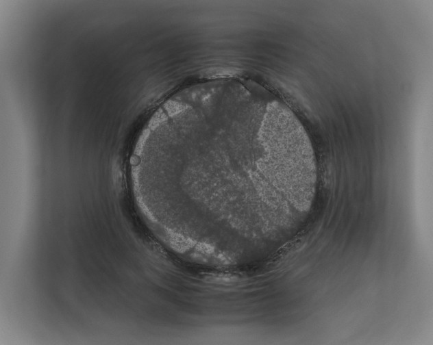 X0000111860743200908201257