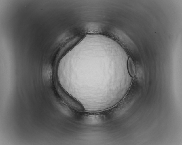 X0000111860744200908201257