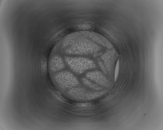 X0000111860745200908201257