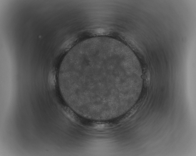 X0000111860746200908201257