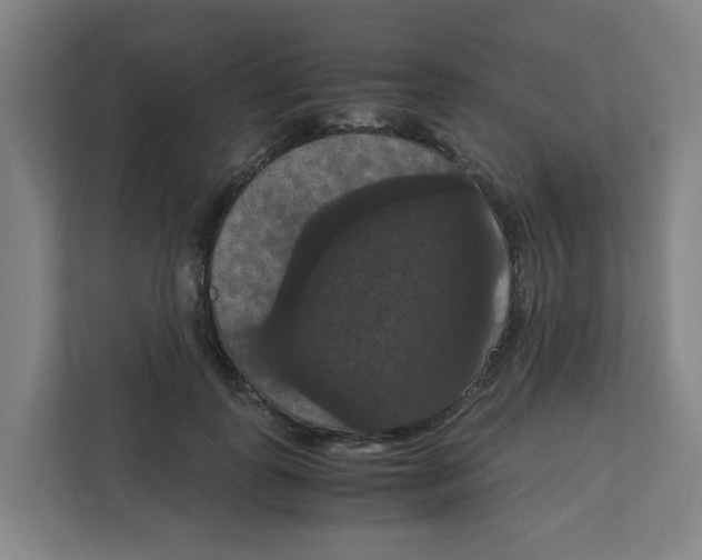 X0000111860747200908201257