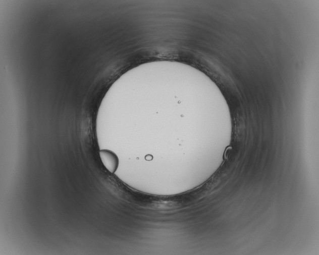 X0000111860748200908201257