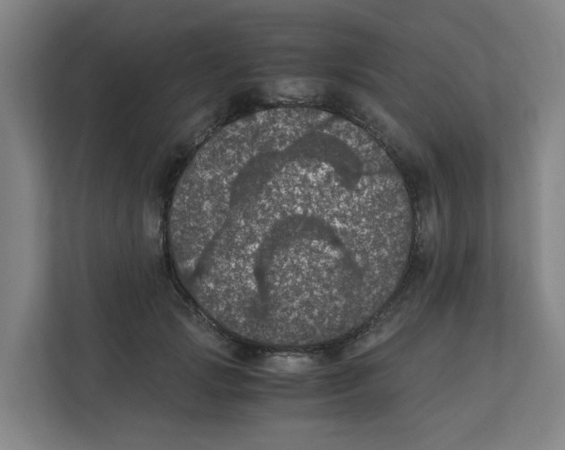 X0000111860749200908201257