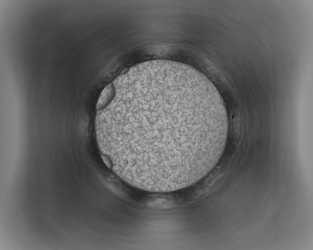 X0000111860750200908201257
