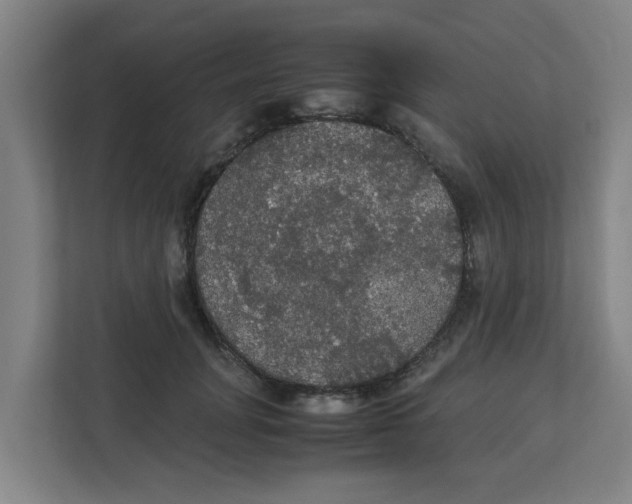 X0000111860751200908201257