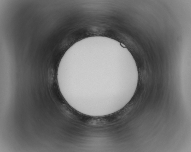 X0000111860752200908201257