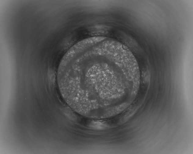 X0000111860753200908201257