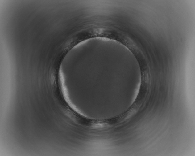 X0000111860754200908201257
