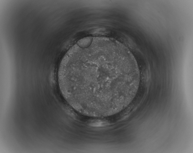 X0000111860755200908201257