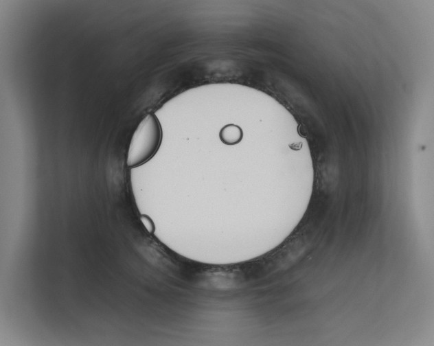 X0000111860756200908201257