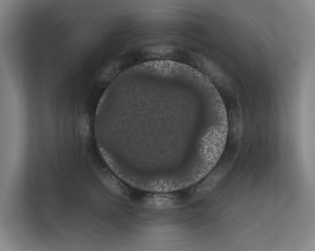 X0000111860758200908201257