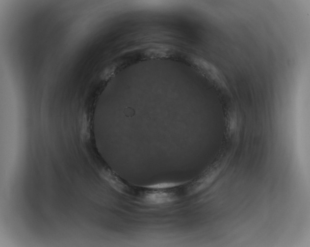 X0000111860759200908201257