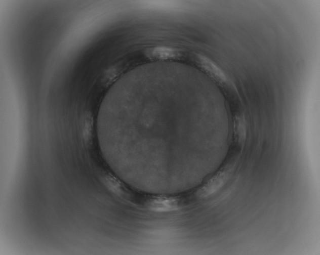 X0000111860760200908201257