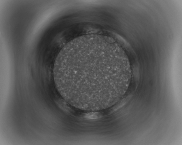 X0000111860761200908201257