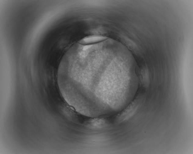 X0000111860762200908201257